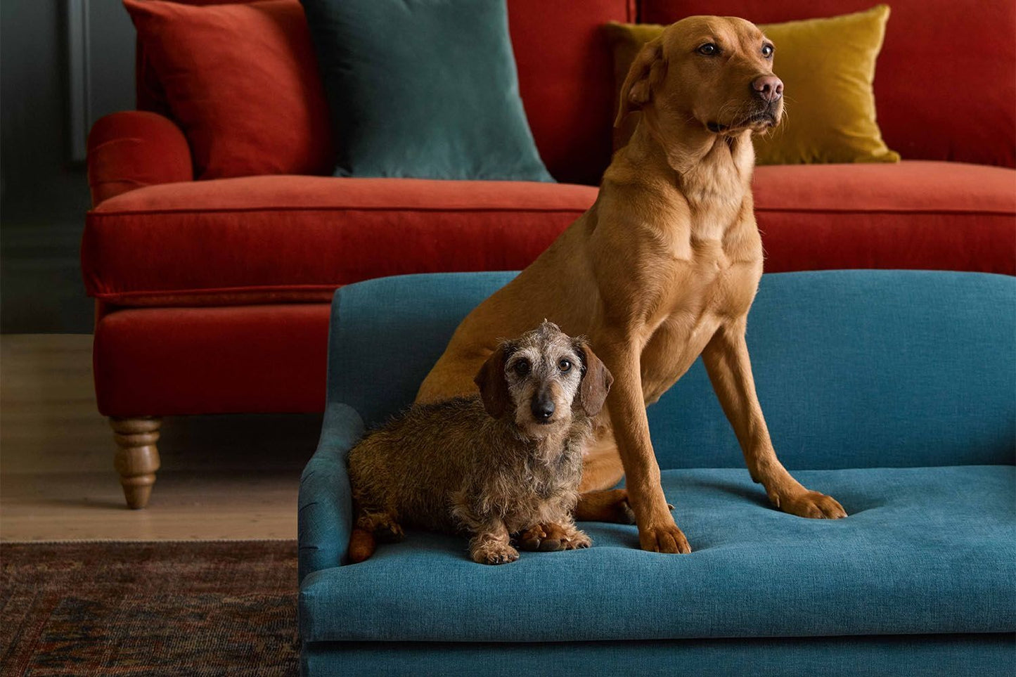 Bluebell Pet Bed
