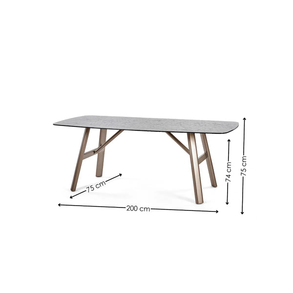 Callisto Smoked Bubble Glass Dining Table with Brushed Bronze Metal Legs – Seats 6 – 200cm