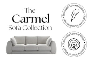 Carmel Contemporary Curved Sofa with soft curved lines and plush cushions in modern living room setting