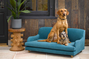 Bluebell Pet Bed