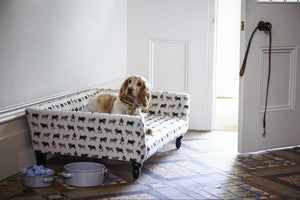 Modern upholstered dog bed for indoor pets