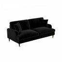 Ismail Velvet Two Seater Sofa Loveseat – Modern Compact Couch with Solid Wood Frame, Soft Upholstery Living Room Furniture (Claret, Teal, Black) - My Store