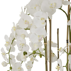 Large White Orchid in Antique Stone Pot – 5ft Tall Realistic Artificial Plant | 22641 - My Store