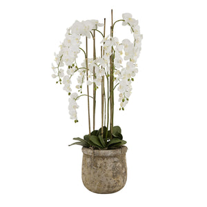Large White Orchid in Antique Stone Pot – 5ft Tall Realistic Artificial Plant | 22641 - My Store
