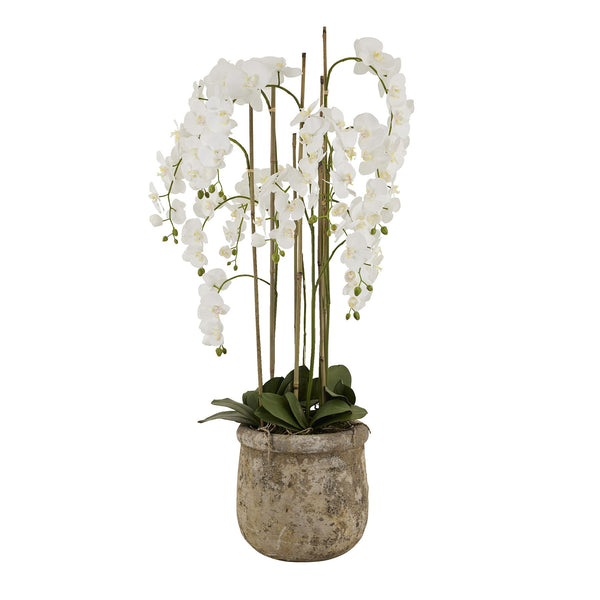 Large White Orchid in Antique Stone Pot – 5ft Tall Realistic Artificial Plant | 22641 - My Store