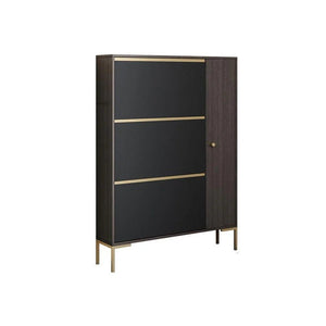 Modern CASA Shoe Storage Cabinet with Metal Frame, Dark Oak Hallway Organizer with Shelves & Contemporary Design - Sleek Furniture