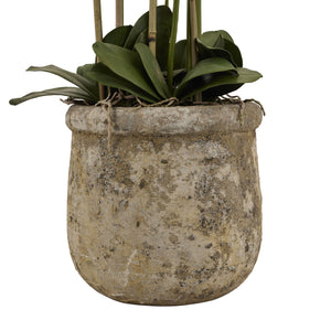 Large White Orchid in Antique Stone Pot – 5ft Tall Realistic Artificial Plant | 22641 - My Store
