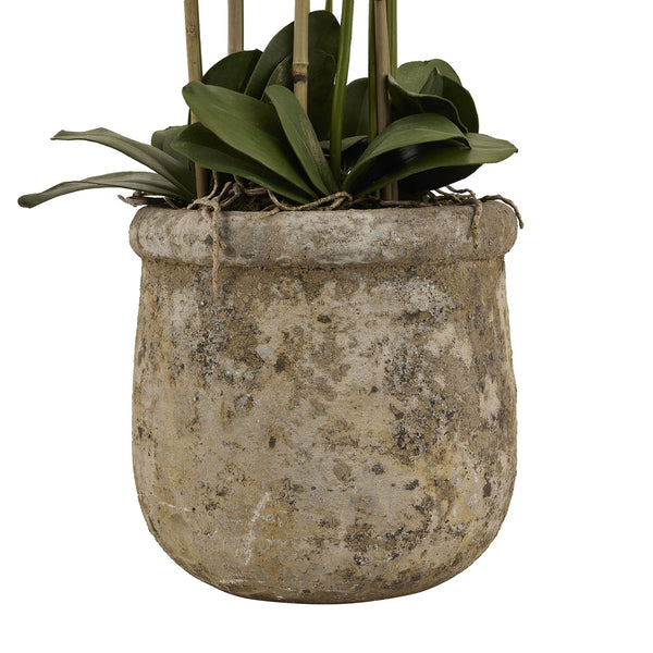 Large White Orchid in Antique Stone Pot – 5ft Tall Realistic Artificial Plant | 22641 - My Store