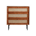 Xavier Rattan Sideboard Cabinet – Modern Wooden Storage Unit with Metal Legs, Contemporary Side Cabinet in Cherrywood & Walnut Finish - Sleek Furniture